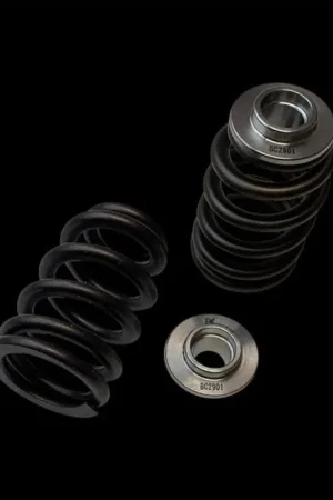 Brian Crower Polaris XP1000/XPTurbo/XP900 Beehive Spring/Titanium Retainer/Seat Kit Money Back Guarantee