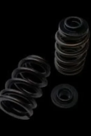 Last Chance Brian Crower Polaris XP1000/XPTurbo/XP900 Beehive Spring/Steel Retainer/Seat Kit