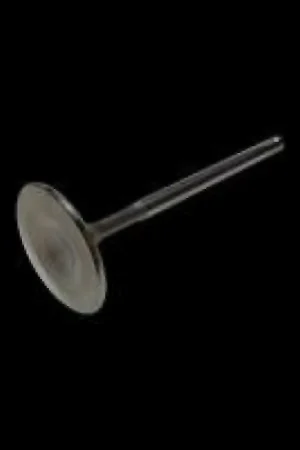 Genuine Brian Crower Nissan SR20DE(T) RWD 31.15mm Exhaust Valves - Single