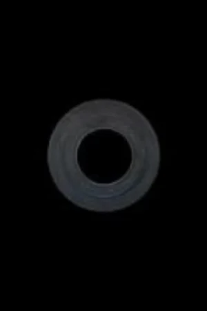 Warranty Included Brian Crower Spring Seats - Polaris XP1000 / XPTurbo