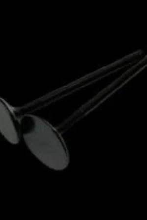 Brian Crower Honda/Acura B18C/B16A/B17A 33mm Black Nitride w/Flat Face Intake Valves One Day Deal