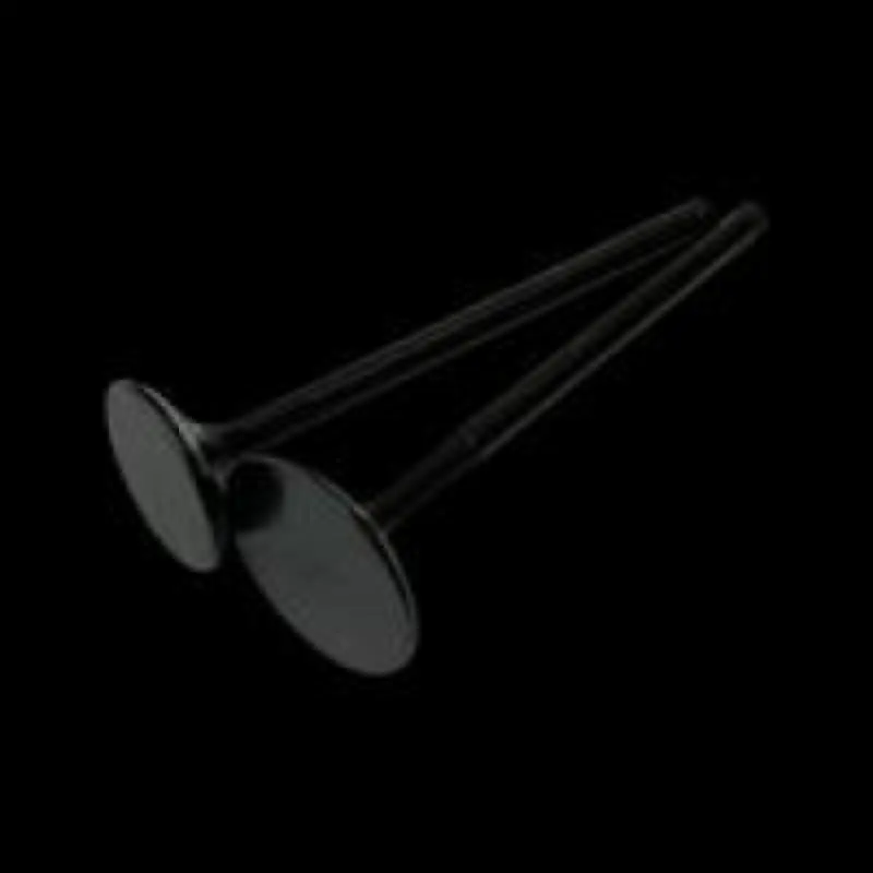 Brian Crower Honda/Acura B18C/B16A/B17A 33mm Black Nitride w/Flat Face Intake Valves One Day Deal