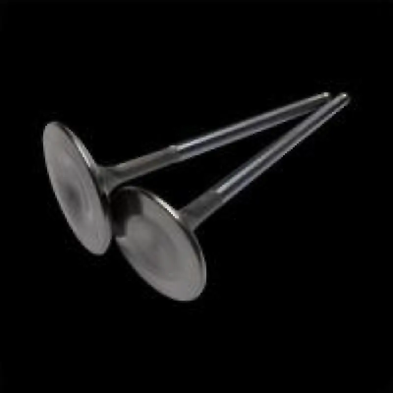 Limited Offer Brian Crower VW/Audi 1.8T 29.9mm Exhaust Valves