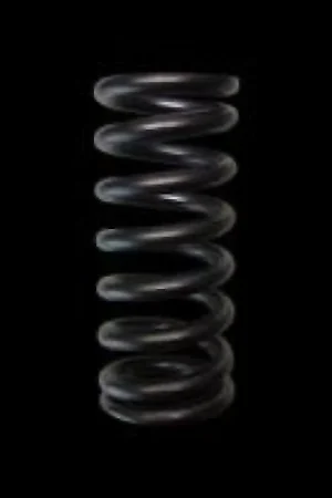 Brian Crower Honda L15 Single Valve Springs (Set of 16) Deal