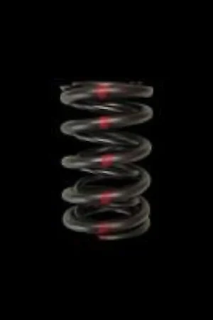Brian Crower Honda H22/Nissan SR20VE Dual Valve Spring - Single One Day Deal