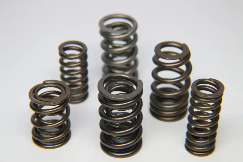 Same Day Shipping Ferrea 1.225in to 1.570in Diameter 1.005/1.53 OD 0.73/1.11 ID Dual w/Damper Valve Spring - Set of 16