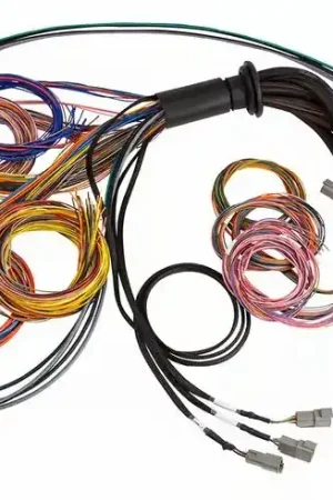 Place Order Haltech NEXUS R5 Universal Wire-In Harness - 5M (16ft)