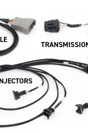 Haltech NEXUS Rebel LS Gen III Cable Throttle/EV1 Injectors/Manual Transmission Best Choice