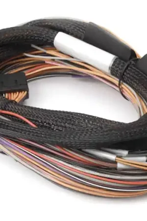 Premium Haltech IO 12 Expander Box 8ft Flying Lead Harness (A/B Box)