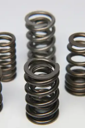 Today Only Ferrea Chevrolet LS1/LS7 (5/16 Conversion Kit) Dual Pro PAC Alloy Valve Spring - Set of 16