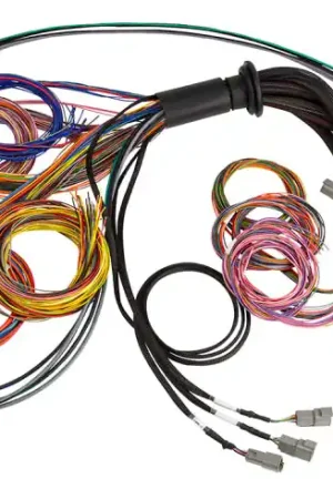 Authentic Haltech NEXUS R5 Universal Wire-In Harness - 2.5M (8ft)