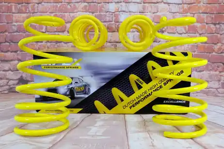 Apex Lowering Spring Kit - 30 mm - Golf V R32 - 1K Genuine