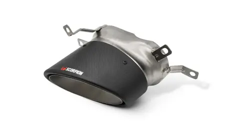 Handmade Scorpion 170 x 120mm Carbon Fibre Ascari RS trim (pair) -  RS7 C7