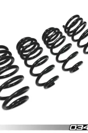 Premium 034 Motorsport - Dynamic+ Lowering Springs for B9/B9.5 Audi RS5