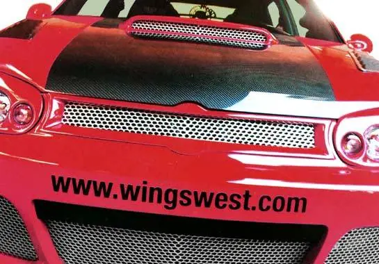 Direct From Manufacturer Volkswagen Golf VIS Racing G-Spec Front Grille Insert Optional - 890784