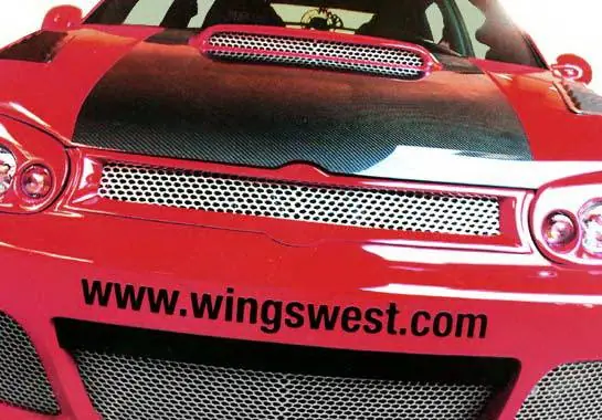 Bargain Volkswagen Golf Wings West G-Spec Front Grille Insert - 890784