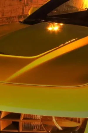 Chevrolet Camaro ACS Specter Werkes Camaro GTZ Extractor Hood - SWS-10501001 Get Yours