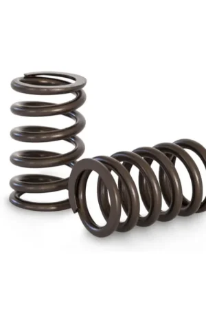 Kelford Cams Racing Valve Spring Set Toyota 1FZ TB48 Viral