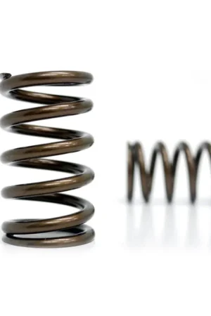 Today Only Kelford Cams Valve Spring Set Toyota 1JZ-GTE
