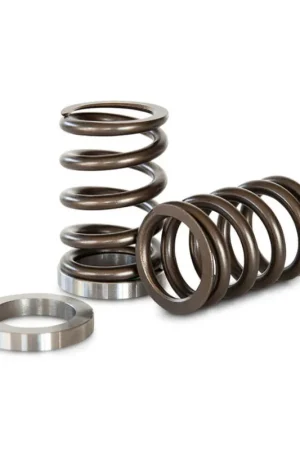 Price Drop Kelford Cams Valve Spring Set Nissan CA18DET