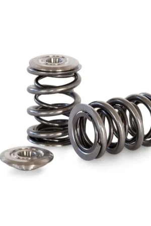Free Returns Kelford Cams Dual Valve Springs and Titanium Retainers Nissan RB30E SO