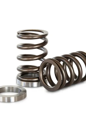 Kelford Cams Race Valve Spring Set Nissan RB25DET NVCS Genuine