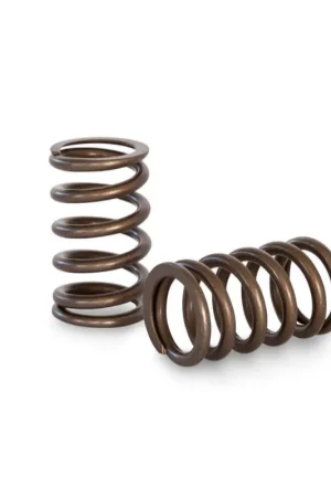 Fast Shipping Kelford Cams Racing Valve Spring Set Toyota 1G-GTE