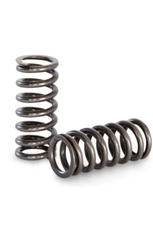 Kelford Cams Valve Spring Set Toyota 4AGE 20V Black and Silver Top Affordable