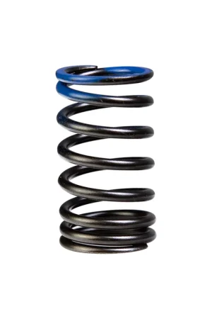 Genuine Honda Outer Valve Spring Inlet Blue Civic Type R EK9 Integra D Luxury