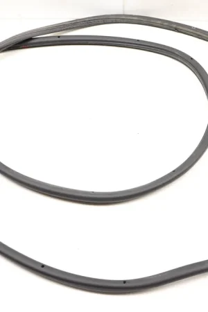 One Day Deal VW Rear Left Outer Door Seal / Weather Stripping 5N0839701A
