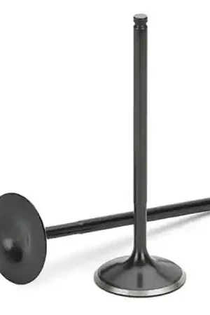 Free Shipping Supertech BMW N/S55 SS Black Nitride Intake Valve - Set of 12 (Use w/Locks KPR-5.0/7S)