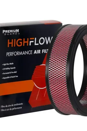 1979 Buick Skylark Air FilterPA91X Must Have