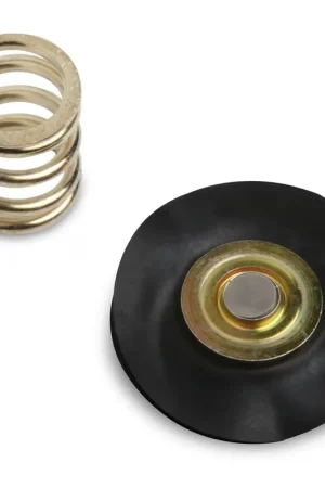 Reduced Price Holley Regulator Rebuild Kit Fits 12-846, and 12846ERL Fuel Pressure Regulators