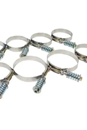 Hot Picks BD Diesel High Torque Hose Clamp - 3in – SBX Performance