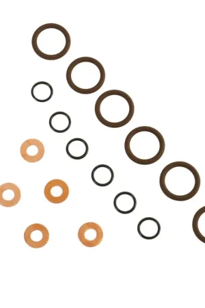 BD Diesel ISB Injector Seal Kit - Dodge 1998.5-2002 5.9L 24-valve – SBX Performance Buy Online