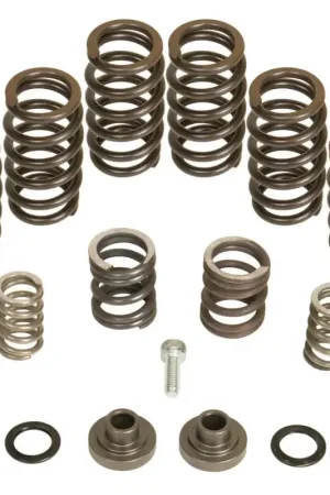 Free Shipping BD Diesel Governor Spring Kit 4000rpm - 1994-1998 Dodge 12-valve/P7100 – SBX Performance