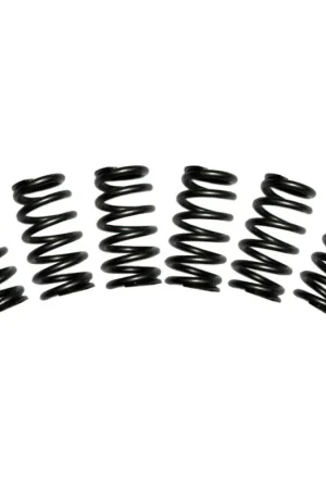 Premium BD Diesel Valve Spring Kit 60lb Cummins 5.9 12-valve – SBX Performance